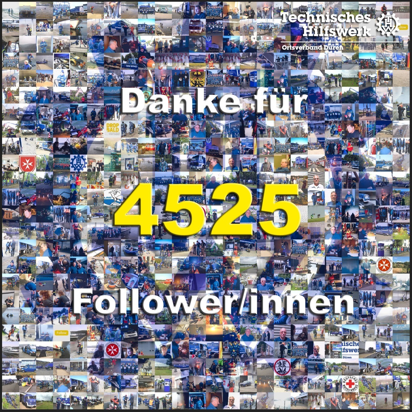 Danke für 4525 Follower/innen